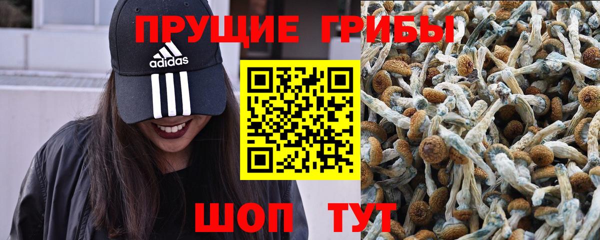 Псилоцибиновые грибы мицелий Ликино-Дулёво