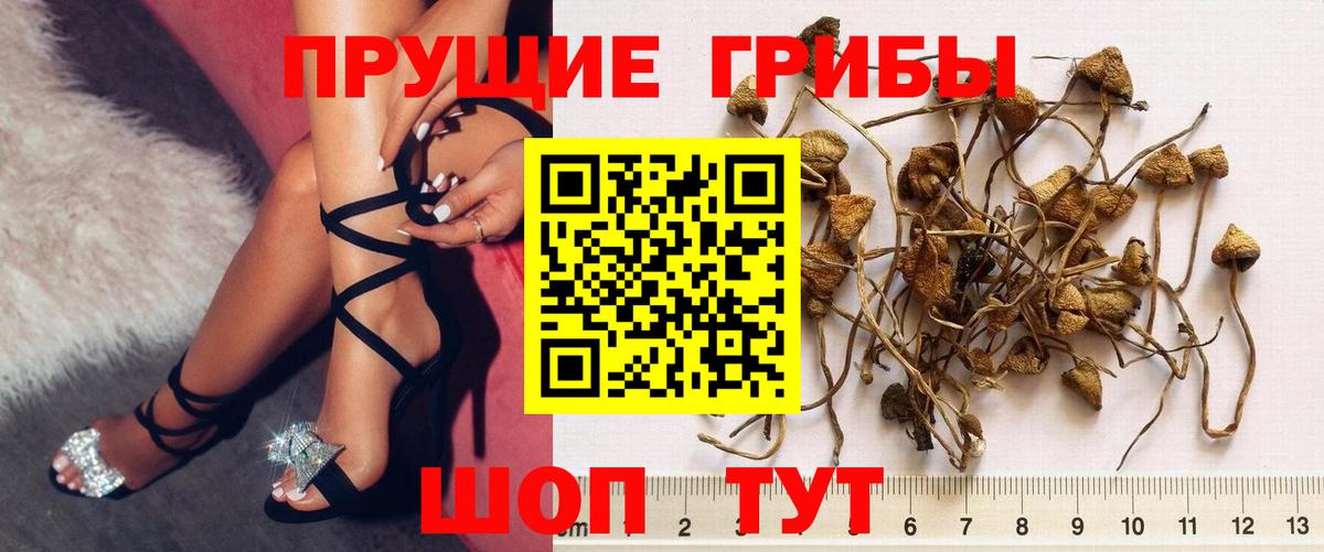 магазин продажи   Галлюциногенные грибы ЛСД  Вход с VPN  Ликино-Дулёво 
